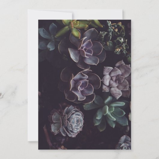 Succulent patroon kaart (Achterkant)