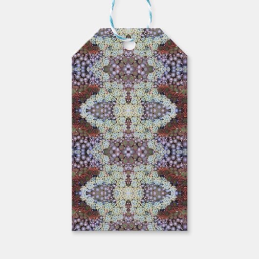 Succulent Pattern Gift Labels Cadeaulabel (Voorkant)