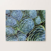 Succulent Photography Succulent Day Cactus Stock Legpuzzel (Horizontaal)