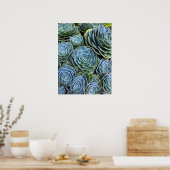 Succulent Photography Succulent Day Cactus Stock Poster (Keuken)