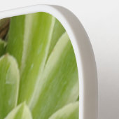 Succulent Pickleball Paddle (Links Detail)