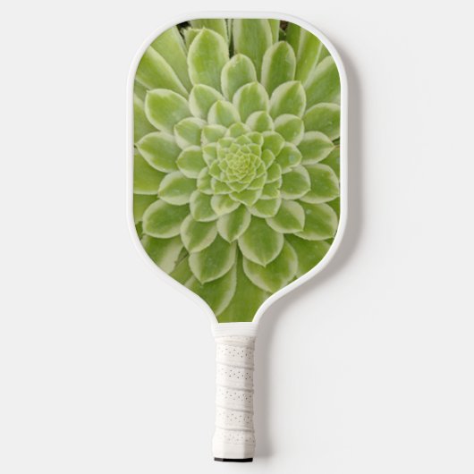 Succulent Pickleball Paddle (Achterkant)