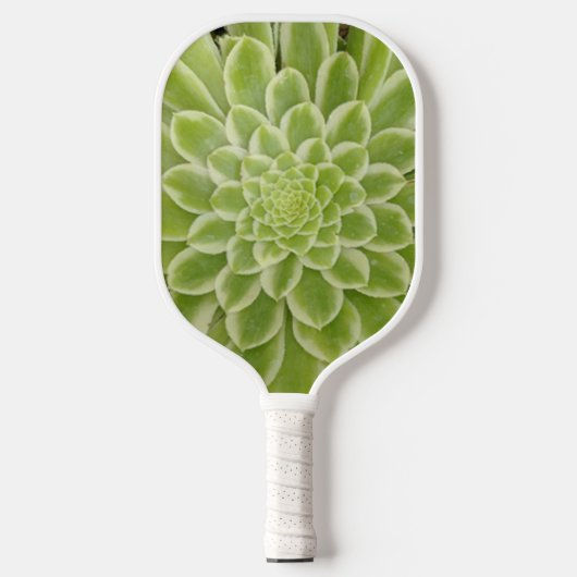 Succulent Pickleball Paddle (Voorkant)