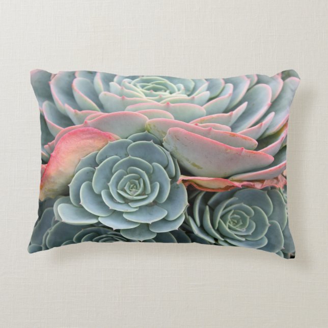Succulent Pillow, Blue Echeverias Decoratief Kussen (Achterkant)