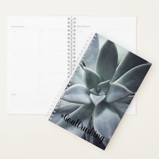 Succulent Planner voor het overspoelen van goal (Display)
