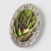 Succulent Plant Botanische Fotografie Grote Klok (Hoek)