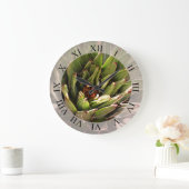 Succulent Plant Botanische Fotografie Grote Klok (Huis)