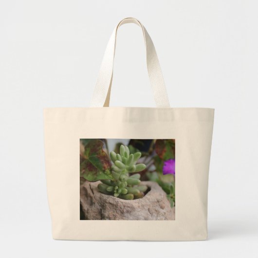 Succulent Plant en Chameleon Plant Grote Tote Bag (Voorkant)