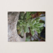 Succulent Plant en Chameleon Plant Legpuzzel (Horizontaal)