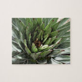 Succulent Plant fotografie Legpuzzel (Horizontaal)