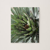 Succulent Plant fotografie Legpuzzel (Verticaal)