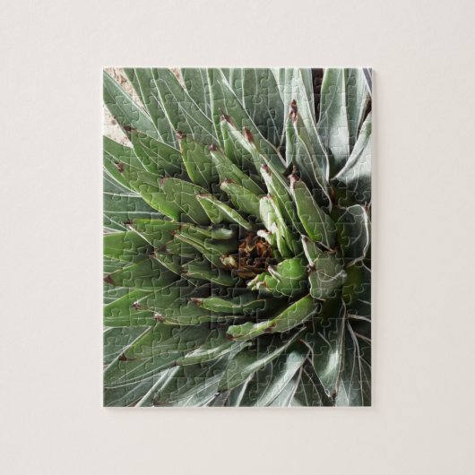 Succulent Plant fotografie Legpuzzel (Verticaal)