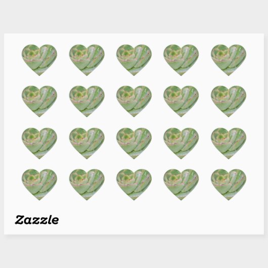 Succulent Plant Hart Sticker (Vel)