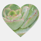 Succulent Plant Hart Sticker (Voorkant)