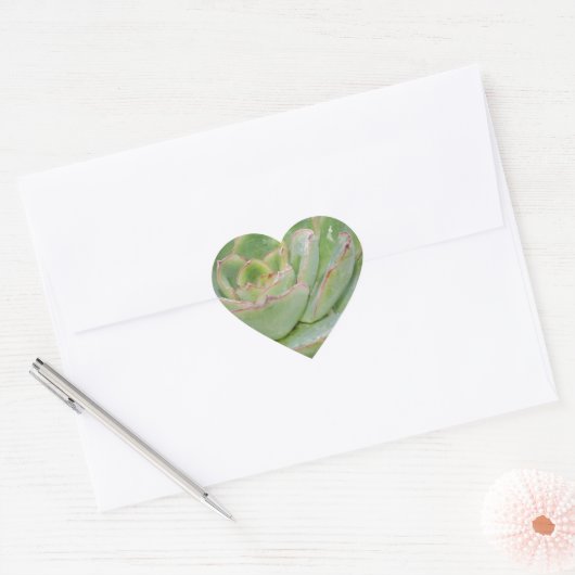 Succulent Plant Hart Sticker (Envelop)