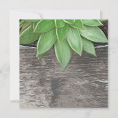 Succulent Plant ik heb Nieuw Adres bewogen Aankondiging (Achterkant)