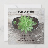 Succulent Plant ik heb Nieuw Adres bewogen Aankondiging (Voorkant)