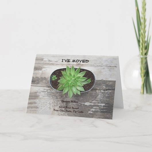 Succulent Plant ik heb Nieuw Adres bewogen Aankondiging (Voorkant)