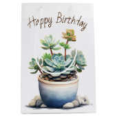 Succulent Plant in Pot Medium Cadeauzakje (Voorkant)