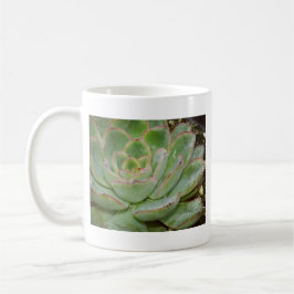 Succulent Plant Koffiemok