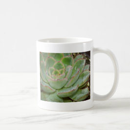 Succulent Plant Koffiemok