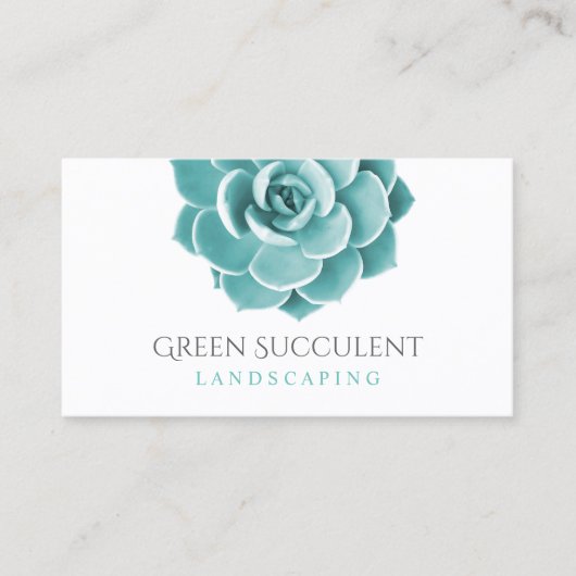 Succulent Plant Landscaping Service Garden Visitekaartje (Voorkant)