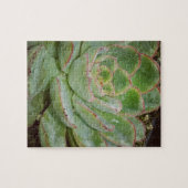 Succulent Plant Legpuzzel (Horizontaal)