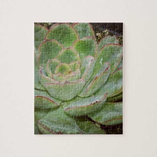 Succulent Plant Legpuzzel (Verticaal)