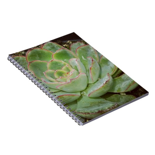 Succulent Plant Notitieboek (Rechterzijde)