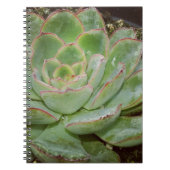 Succulent Plant Notitieboek (Voorkant)