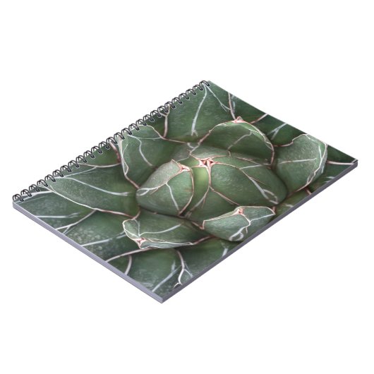 Succulent Plant Photo Notitieboek (80 pagina's B&W (Linkerzijde)