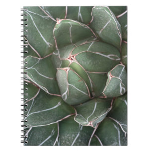 Succulent Plant Photo Notitieboek (80 pagina's B&W
