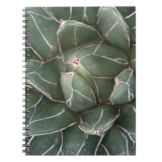 Succulent Plant Photo Notitieboek (80 pagina's B&W (Voorkant)