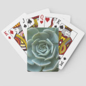 Succulent Plant Pokerkaarten (Achterkant)