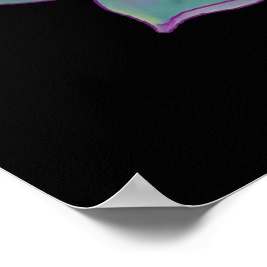 Succulent plant poster (Hoek)