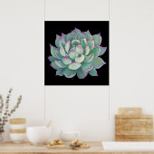 Succulent plant poster (Keuken)