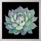 Succulent plant poster (Voorkant)