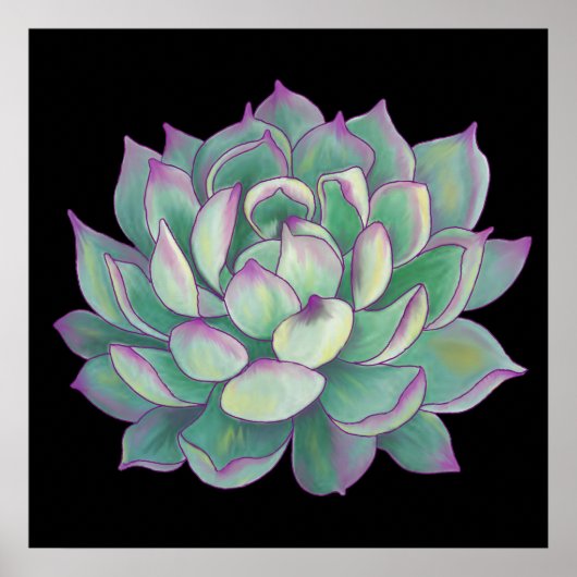 Succulent plant poster (Voorkant)