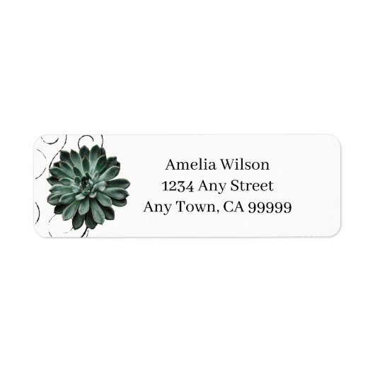 Succulent Plant Return Address Label (Voorkant)