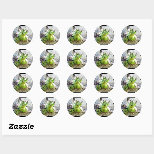 succulent plant ronde sticker (Vel)