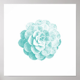 Succulent Plant Spring Garden Poster