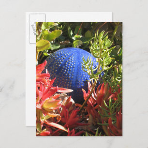 Succulent Plant Tuinblanco Briefkaart