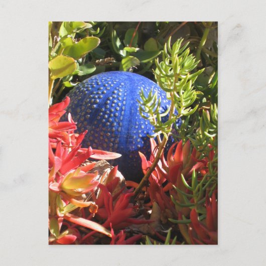 Succulent Plant Tuinblanco Briefkaart (Voorkant)