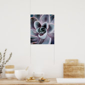 Succulent Plant Up Close Natuur Foto Poster (Keuken)