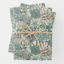 Succulent Planten Green Verjaardagsfeest