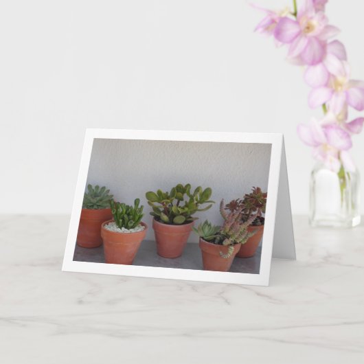 Succulent Planten Portret Kaart (Orchidee)
