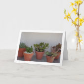 Succulent Planten Portret Kaart (Gele Bloem)