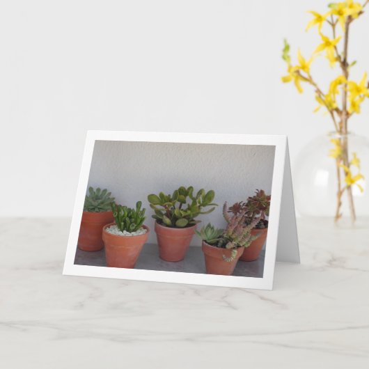 Succulent Planten Portret Kaart (Gele Bloem)