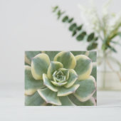 Succulent Postcard Briefkaart (Staand voorkant)