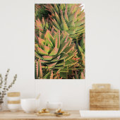 succulent poster (Keuken)